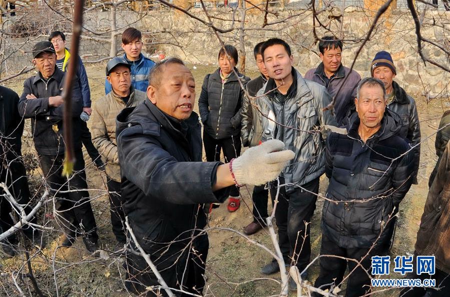（新華全媒頭條·圖文互動）（8）鍛造領航復興的中流砥柱——寫在“不忘初心、牢記使命”主題教育即將啟動之際