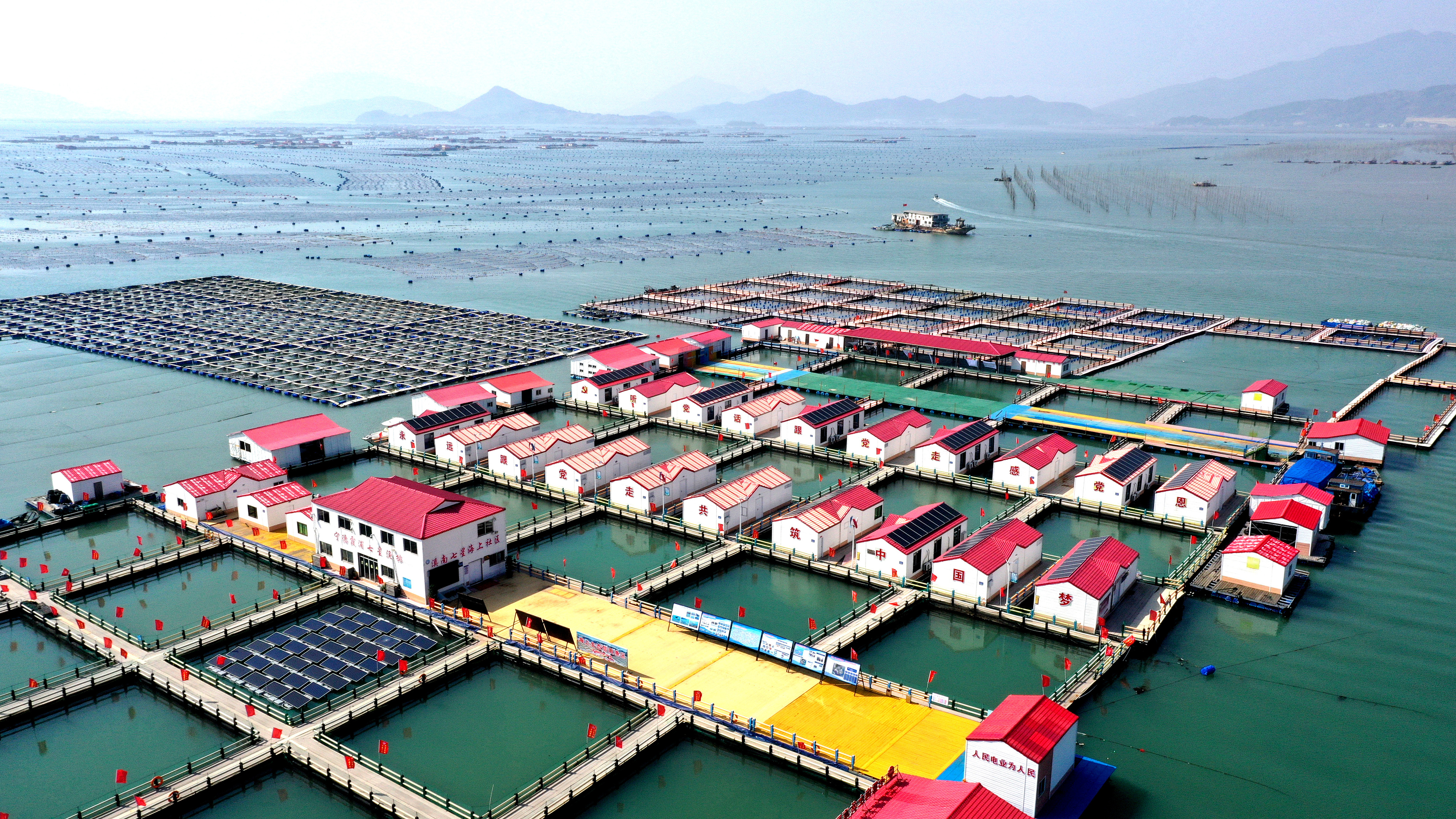 2024年3月20日，福建省寧德市，霞浦縣溪南鎮(zhèn)七星村漁排養(yǎng)殖示范區(qū)，漁民駕駛養(yǎng)殖船進(jìn)行海參養(yǎng)殖作業(yè)。