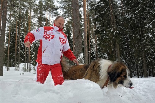 普京帶著寵物犬在雪地里散步。