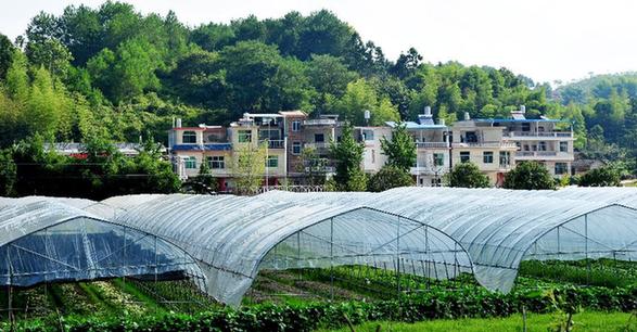 （走基層 聽民聲）（4）福建長?。何羧斩d坡地 今日花果山