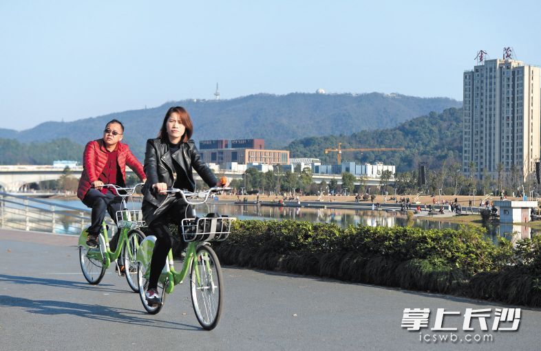 梅溪湖畔，市民們騎著共享單車賞景。長(zhǎng)沙晚報(bào)記者 鄒麟 攝