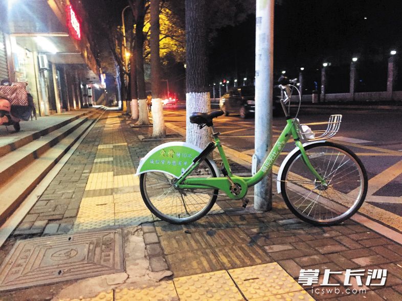 紫薇路附近,一輛使用完的共享單車停在盲道上。長沙晚報記者 朱炎皇 實習生 肖麗兵 攝影報道