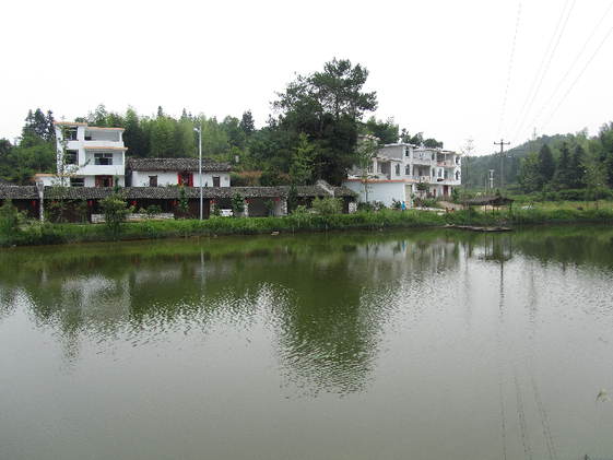 南坑村村容整潔，環(huán)境優(yōu)美。